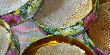 0d164373-e5cf-4f40-b408-decbdc4bd325