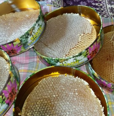 0d164373-e5cf-4f40-b408-decbdc4bd325