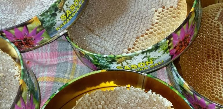 0d164373-e5cf-4f40-b408-decbdc4bd325