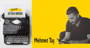 mehmet taş yazar site