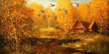 sonbahar-gifleri-hareketli-sonbahar-manzaralari-31