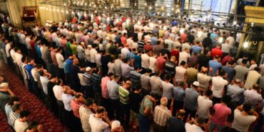 Root_22-09-2015-Id.60846