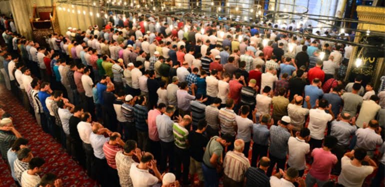 Root_22-09-2015-Id.60846