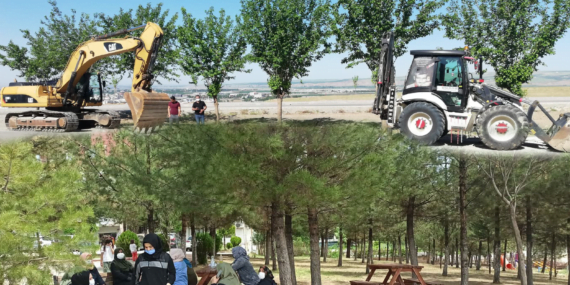 Yol Yapımı Nedeni ile Ağaçlar Kesilmek İsteniyor