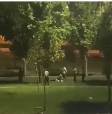 WhatsApp Image 2021-05-14 at 15.10.34