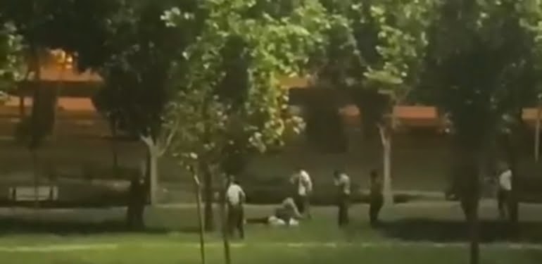 WhatsApp Image 2021-05-14 at 15.10.34