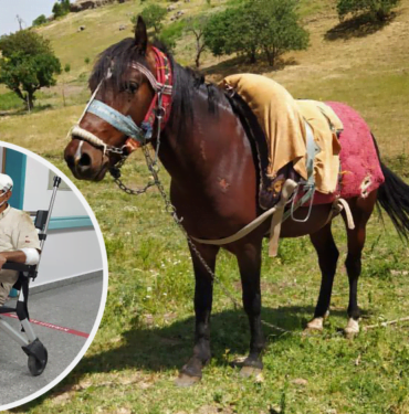 WhatsApp Image 2021-05-15 at 22.09.59 (1)