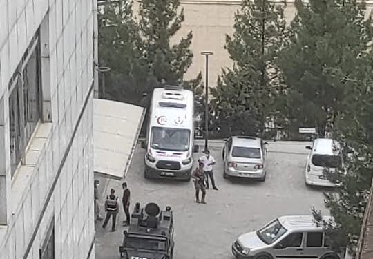 WhatsApp Image 2021-05-22 at 13.36.38