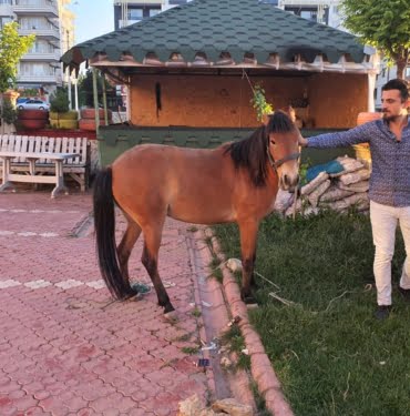 WhatsApp Image 2021-05-25 at 13.40.40