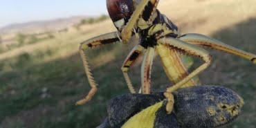 Yk0931AhlEuZ4h_UPAIKjA