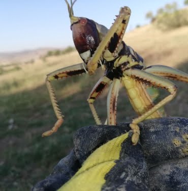 Yk0931AhlEuZ4h_UPAIKjA