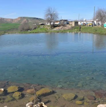 bcf505c4f2fb4a33f951