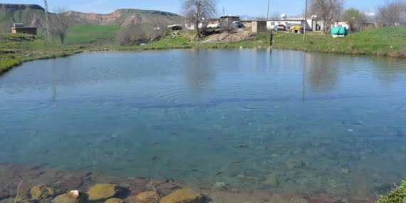 Batman'ın Efsanevi Gölü: Balıklı Göl