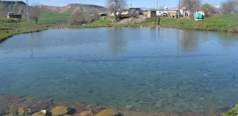 bcf505c4f2fb4a33f951