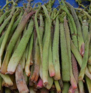 e0581a5249fdd28a6de1