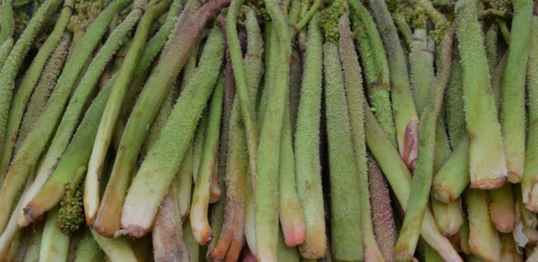 e0581a5249fdd28a6de1