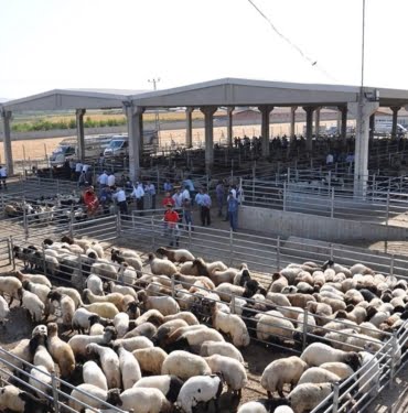 653989dbccb6e668ca83