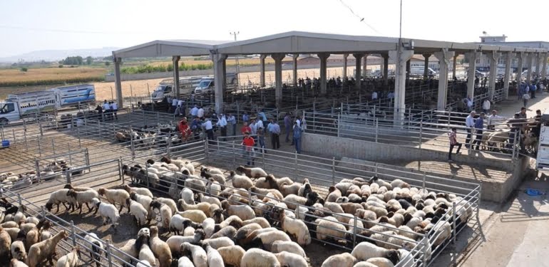 653989dbccb6e668ca83