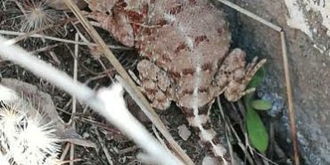 WhatsApp Image 2021-06-02 at 15.27.41