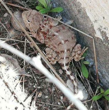 WhatsApp Image 2021-06-02 at 15.27.41