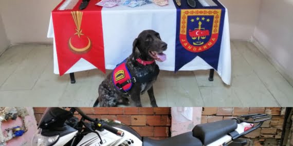 Batman’da 1 şahıstan 1 milyon değerinde malzeme ele geçirildi.