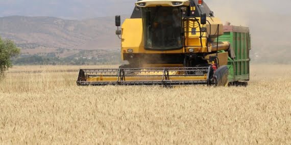 TMO bu yıl ürün alımında rekor kırdı