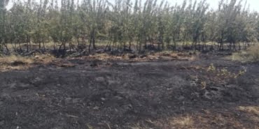 WhatsApp Image 2021-07-02 at 15.46.20