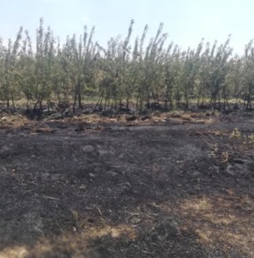 WhatsApp Image 2021-07-02 at 15.46.20