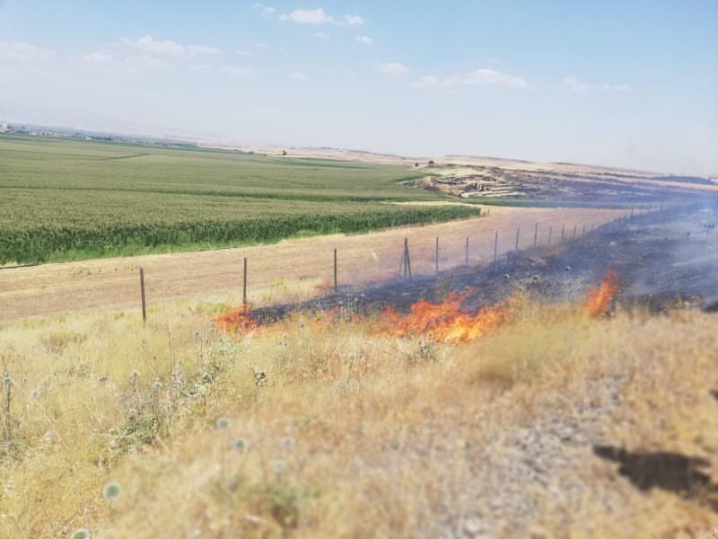 Beşiri'deki elma bahçelerinde yangın çıktı