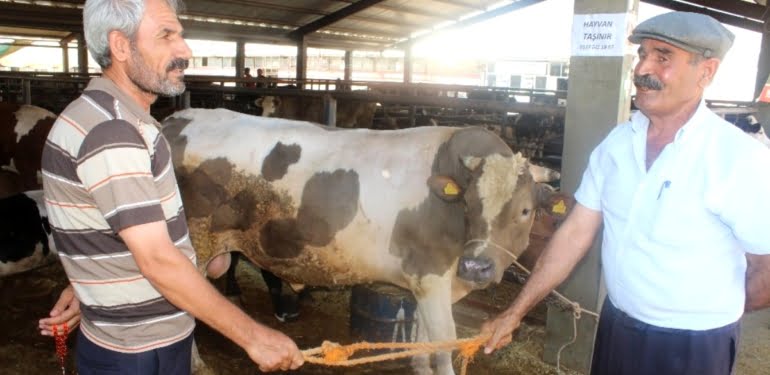 korona-viruse-karsi-sopa-ve-halatlarla-kurban-13462370_amp