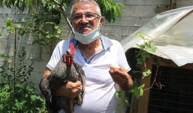 sabahlari-oterek-sahibini-uyandiran-horoz-her-14258005_5168_o