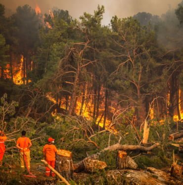 105726949-b58b4cd9ebb7c0203d2252258826a450