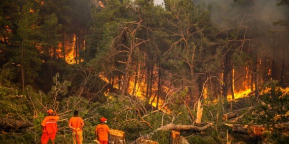 217 yangın kontrol altına alındı, 2 ildeki 6 noktada yangın devam ediyor