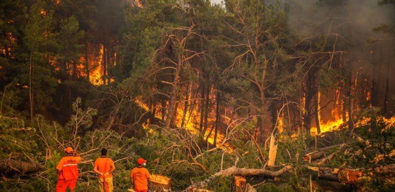 105726949-b58b4cd9ebb7c0203d2252258826a450