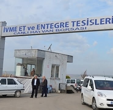 6c9d8f8f-7bb4-4d2c-9fd0-5fd3dca597d5_4aa4fb9bf2916de98e18 (1)