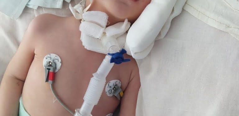 WhatsApp Image 2021-08-05 at 14.48.24