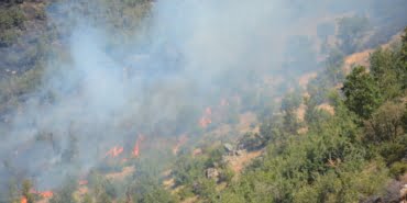 btls-31-08-2021-orman-yangini-devam-ediyor2