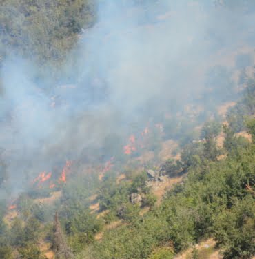 btls-31-08-2021-orman-yangini-devam-ediyor2