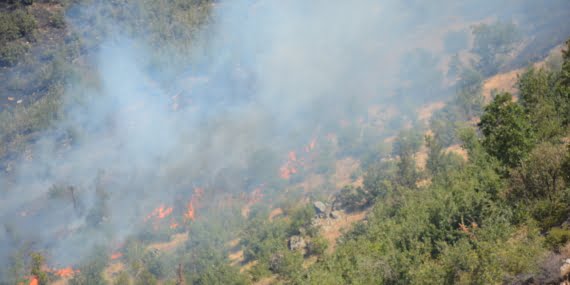 Bölgedeki 4 farklı ilde yangınlar devam ediyor