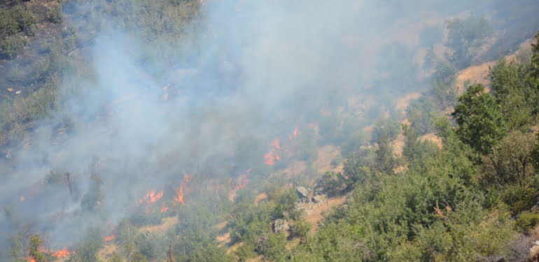 btls-31-08-2021-orman-yangini-devam-ediyor2