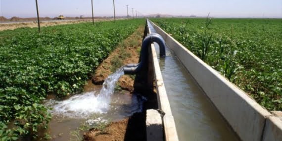 Malabadi Sulama Birliği Başkanlığı ikinci ürün ekenlerden dört kat fazla su bedeli alacak