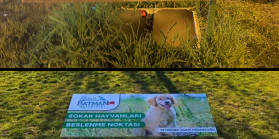 Hayvanseverlerden Belediye’ye denetim ve duyarlılık çağrısı