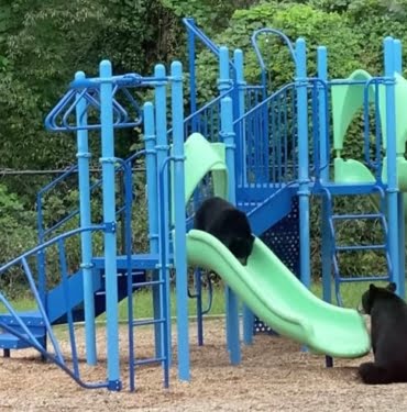 20210924-ayi-park-fcebook