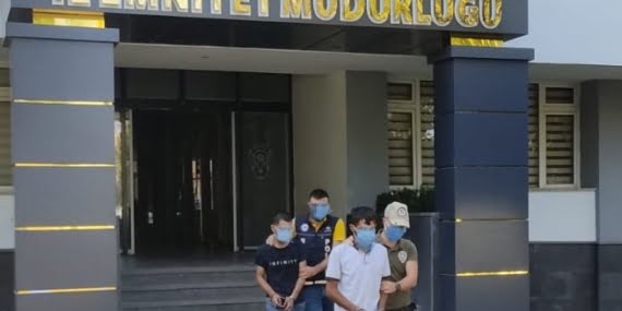 Batman’da bir köpeği öldürüp 3. kattan aşağı attılar