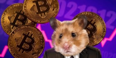 a-hamster-beats-giants-in-crypto-trading-5FlhO6gb-780x440-1
