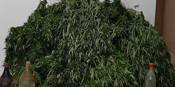 Kozluk'un Gürpınar köyünde uyuşturucu baskını Kozluk’un Gürpınar köyünde uyuşturucu baskını