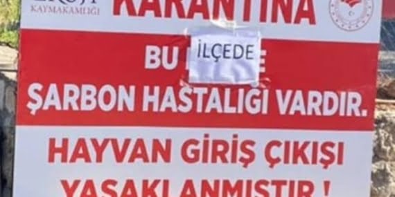 Siirt’in Eruh ilçesine 15 gün boyunca hayvan giriş çıkışları yasaklandı