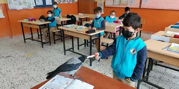 Kargasıyla birlikte okula gidiyor