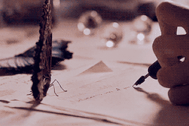 s-8c49da1b1aee044a4bfbe03d343ec7894510c07d