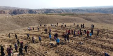 1536_10430_618d251745db3